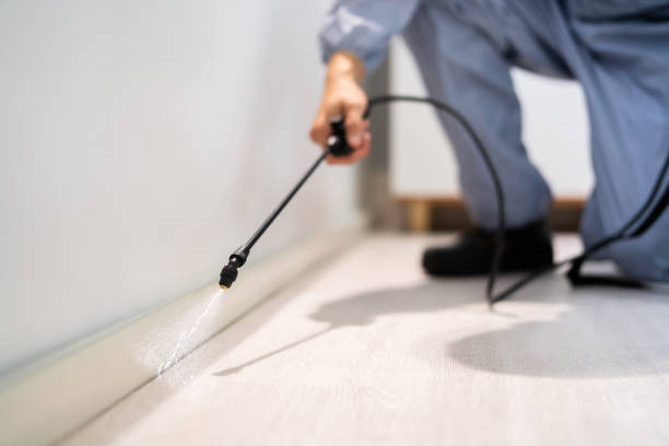 Licensed Cockroach Control service in DeRidder, LA - Nex Pest Control