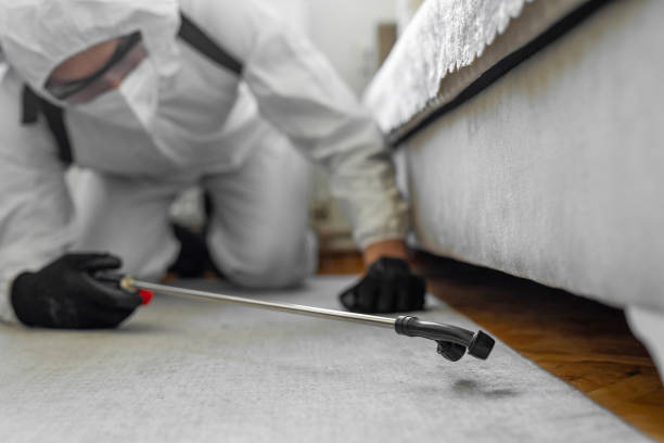 Professional Cockroach Control technician working in DeRidder, LA