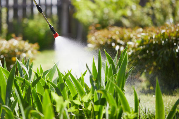 24/7 Emergency Cockroach Control experts in DeRidder, LA