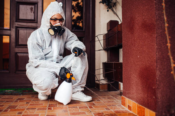 Reliable Cockroach Control contractor in DeRidder, LA by Nex Pest Control