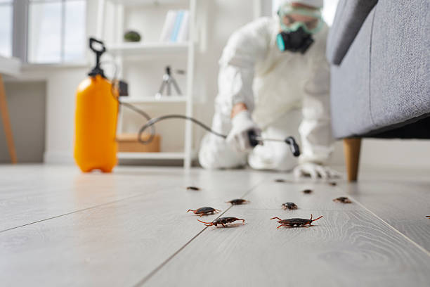 Affordable Cockroach Control solutions in DeRidder, LA